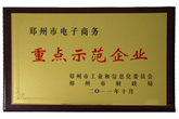 榮獲電子商務(wù)重點(diǎn)示范企業(yè)